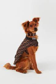 Check spelling or type a new query. Fendi Unveils Luxury Pet Travel Collection