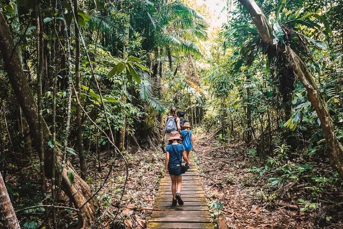 Bako National Park: the complete guide for your visit · The Global Wizards - Travel Blog