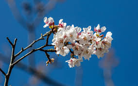 6 spectacular ways to celebrate Spring Equinox using your Virgin Points | Virgin