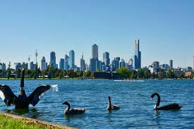 Melbourne From Albert Park Lake Albert Park Lake Places In Melbourne Melbourne