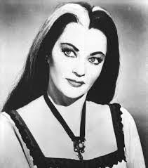 Amanda Bertini's Instagram, Twitter & Facebook