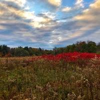 Maybe you would like to learn more about one of these? Chestnut Ridge Metro Park Park In Carroll