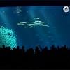 The monterey bay aquarium is one of california's most popular tourist attractions, often voted among the best aquariums and family attractions in the country. 1