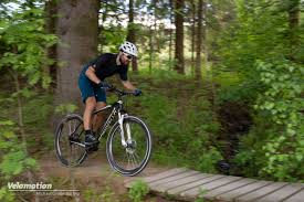 How to find the perfect gear ratios for your mtb drivetrain. Test Dynamics Gravity 29 Attraktives Mountainbike Von Stadler