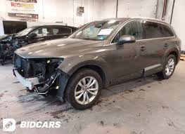 Image result for Argus Brown 2018 Q7
