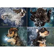 We did not find results for: Toys Games Jigsaws Puzzles 1000 Pieces Cute Animal Dogs Jigsaw Puzzle Adults Children Puzzles Toys Gifts Uk