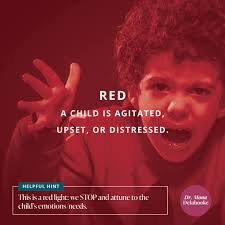 Our body-brain connection drives our behaviors and feelings. The three  colors, Green, Red & Blue represent 3 main pathways of our autonomic  nervous system, directing us to action or inaction. First, check