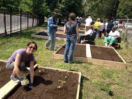 A community garden is a garden that is planned, planted, maintained and sustained by individuals within a community. Building Community Through A Garden