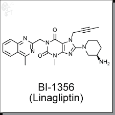Image result for Linagliptin
