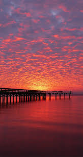 We did not find results for: Wallpapers For Iphone 12 Pro And Iphone 12 Pro Max In 2021 Beautiful Landscapes Sunset Photography Nature Photography