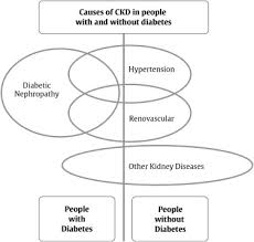 Amenability of a particular condition to prevention or treatment and expected impact; Chronic Kidney Disease In Diabetes Canadian Journal Of Diabetes
