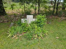 Ben E. Echols (1833-okänd)