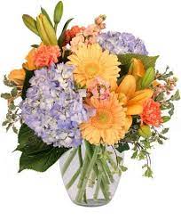 Maybe you would like to learn more about one of these? 15 Best Flower Delivery Services In Syracuse Ny Petal Republic