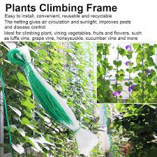 Thanks to the net, we enjoyed a full harvest of sweet cherries this year. Garosa Plants Climbing Frame Garden Plant Trellis Net Plants Climbing Frame Fruit Tree Protect Anti Pest Weed Tree Trellis Walmart Canada