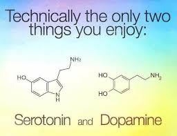 Image result for Dopamine