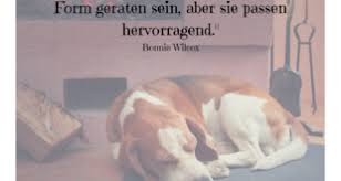 Hundesprüche Hunde