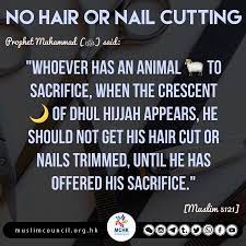 Pin On Sunnah
