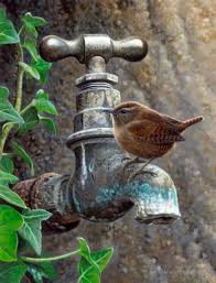 Pin By Nursevil Keles On Art Pet Birds Birds Bird