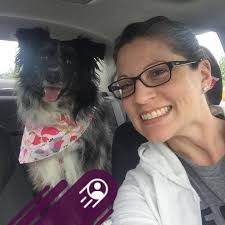 Experience with expensive pickles or DIY recipe?