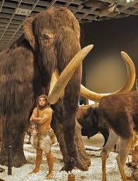 Die mammuts bestehen seit dem jahr 1995 und sind stets auf der suche nach motivierten mitspielern. Schlagwort Mammut Netzwerk Fur Kryptozoologie