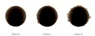 Sensors Free Full Text Multiclass Image Classification Using Gans And Cnn Based On Holes Drilled In Laminated Chipboard Html