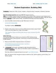 Isn version of covalent gizmo. Download Student Exploration Building Dna Gizmo Answers Epub Archive Online