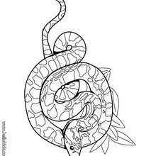 Download nasa's deep space network coloring pages pdf. 11 Printable Coloring Pages Ideas Printable Coloring Pages Coloring Pages Snake Coloring Pages