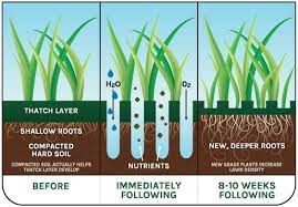 As The Grass Emerges From The Winter Snow And Strives To Grow And Flourish The Tough Montana Soil Does Not Have Too Much Aerate Lawn Lawn Care Tips Lawn Care