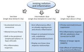 A.they make fun of his house b.they are snobby and rude c.with respect d.they are very cordial. Low Dose Ionizing Radiation Effects On The Immune System Sciencedirect