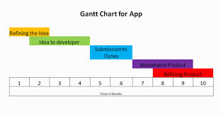 robert burchett e e action plan and gantt chart