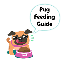 That's because feeding the wrong food can greatly sample buyer review… i was looking for a new puppy food for my newest french bulldog litter and after much consideration, decided to give this food a try. Best Dog Food For Pugs 2021 Review Dog Breeds List