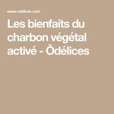 Les Bienfaits Du Charbon Vegetal Active Odelices Charbon Vegetal Charbon Vegetal Actif Vegetal