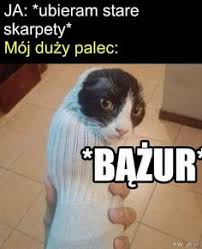Gdzie jest janusz ruchający w odbyt piotera? 900 Memy Ideas In 2021 Memy Zabawne Memy Smieszne Memy
