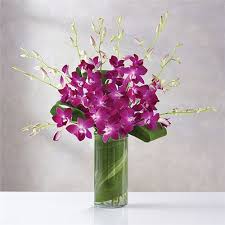 Lucie there are a lot of parks. Port St Lucie Fl Same Day Same Day Flower Delivery Delivery Send A Gift Today All In Bloom Floral