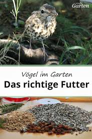 Welcher Vogel Frisst Was Kleine Vogelfutterkunde In 2020 Vogel Im Garten Frostschutz Fur Pflanzen Garten