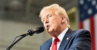 Texas Wide receiver Ryan Wingo's 2024 snapshot profile