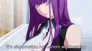 What are your thoughts about the World's End Harem anime? - Quora