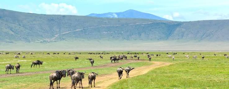 Ngorongoro Crater sunrise
