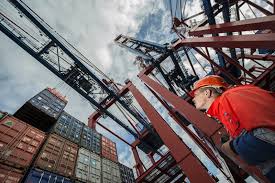 Cp minnaar & seun (pty) ltd. Brexit New Customs Duties Taxes Costs And Regulations Wfb