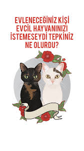 Evleneceginiz Kisi Evcil Hayvaninizi Istemeseydi Tepkiniz Ne Olurdu Evcil Hayvanlar Hayvan Hayvanlar Alemi