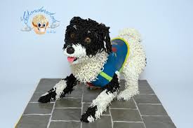 sugar dog help with cake collab dog help dog cakes dogs