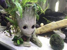 Cichlid cave, iwagumi aquarium, salt water aquarium, freshwater aquarium, reptile aquarium. 10 Unique Aquarium Decoration Ideas To Revamp Your Fish Tank