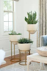 25 genial pflanzen dekoration wohnzimmer dekoration wohnzimmer. 35 Neu Deko Wohnzimmer Pflanzen Wohnzimmer Pflanzen Kleines Wohnzimmer Dekor Innenarchitektur Wohnzimmer