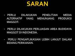 We did not find results for: Ppt Budidaya Maggot Hermetia Illucens Di Balai Riset Budidaya Ikan Hias Depok Powerpoint Presentation Id 2043355