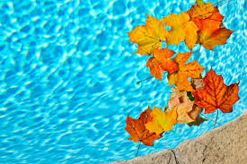 Has Fall Landed In Your Pool Extreme Leaf Removal Cool Pools Robotic Pool Cleaner Inground Pools
