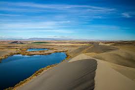 Maybe you would like to learn more about one of these? The Bruneau Sand Dunes Idaho For 91 Days