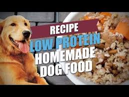 Easy Low Protein Homemade Dog Food Recipe Step By Step Video Homemade Dog Food Dog Food Recipes Raw Dog Food Recipes