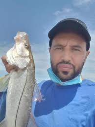 Is this a red or green bay snook?