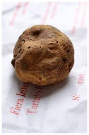 Uova Al Tegamino Con Tartufo Bianco With Images Truffles Wine Recipes White Truffle