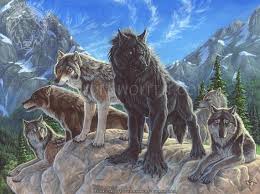 Le jeu initial contient 24 cartes, je vous conseille donc d'en imprimer 24 et de les plastifier. Loup Garou Parmi Une Meute De Loups Imprimer Etsy